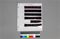 藏品(135黑白負片A-17-28)的圖片